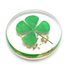 Real Four Leaf Clover, Authentic 4 Leaf Clover Good Luck Charm 1.25 , Classic