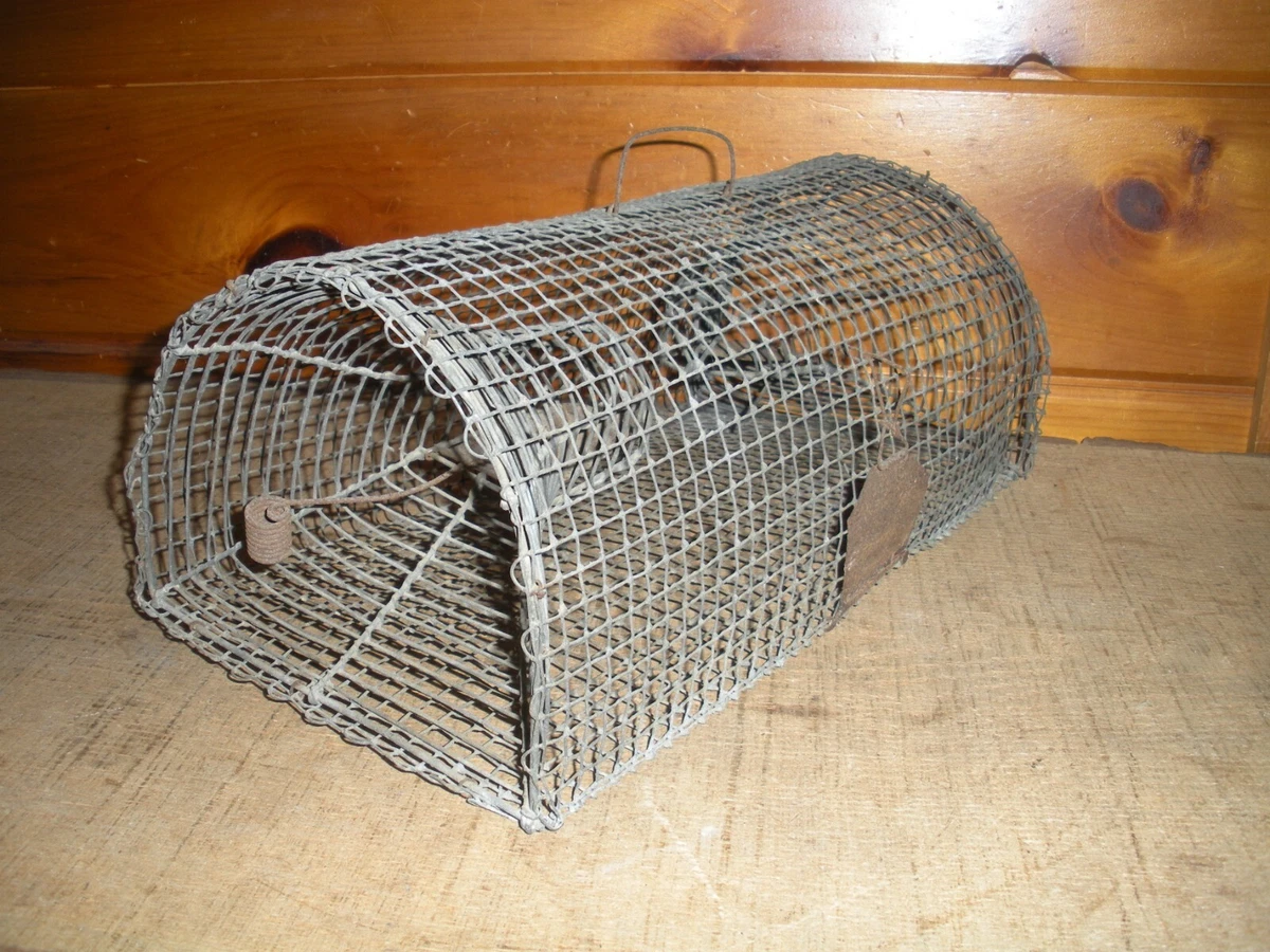 Metal live mouse trap deals