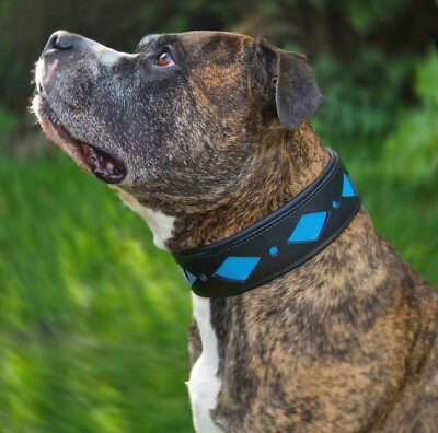 Hundehalsband Salmi Hohe Zugkraft Schwarz Leder Halsband M L XL gro BREIT  TY | eBay.de