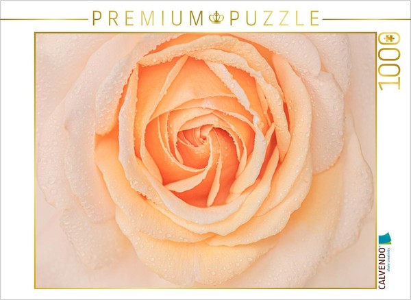 Calvendo Puzzle Rose Im Morgentau | 1000 Teile Lege-GrößE 64 × 48 Cm Foto-Puzzle-image
