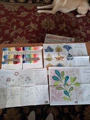 Dmc Embroidery Kit W/ Thread And Multiple Charts