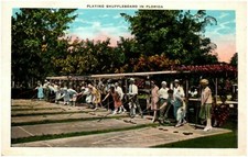Seniors Playing Shuffleboard Hats Ties Dresses Florida Postcard  #85288