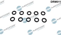 Dr.Motor Automotive DRM011 Dichtring, DüSenhalter