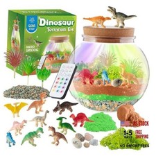 JOYEEMAX Light-Up Terrarium Kit for Kids - LED Night Light Birthday Dinosaur