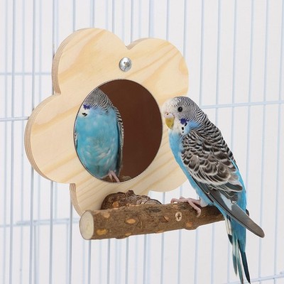 Vogel Sitzstange mit Spiegel Holz Papagei Spiegel Spielzeug für Käfig