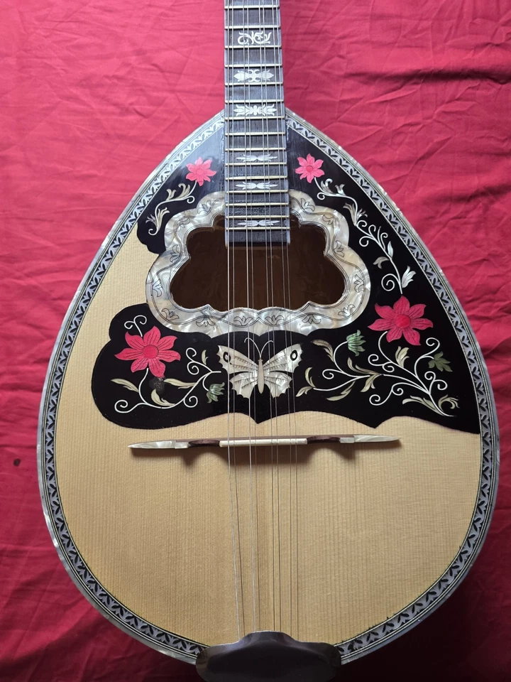 Grego Bouzouki & Softcase & Pickup & Tuner 300 faixa de apoio com pontuações em PDF - Imagem 2 de 4