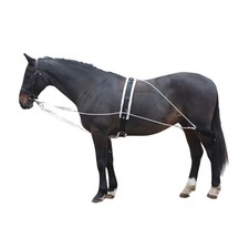 Shires Longierhilfe 435