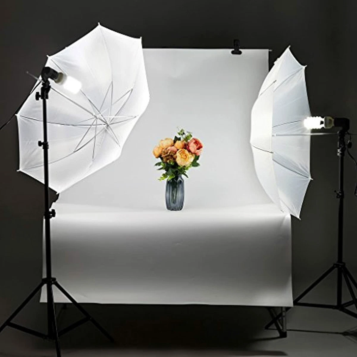 Craphy softbox 2024