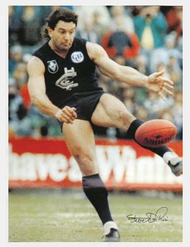 Carlton Football Club VFL & AFL1989-94 CUB Jumper sponsor patch Go Blues! - Picture 8 of 18