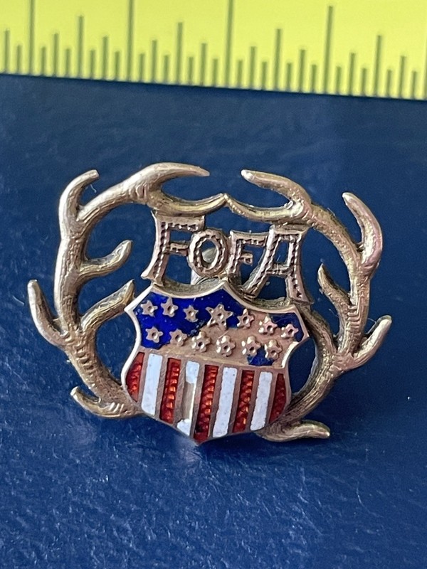 Vintage, dated fraternal PIN button FORESTERS OF AMERICA.  Nov 6, 1900