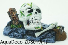 Beautiful Hollowed Small 5.5" Skull Treasure Decoration SHIP FROM USA
