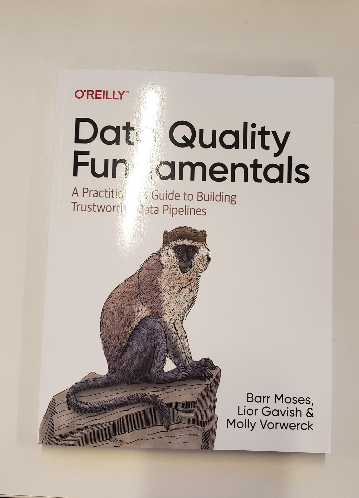 Data Quality Fundamentals: A Practitioner's Guide to Building Trustworthy Data P