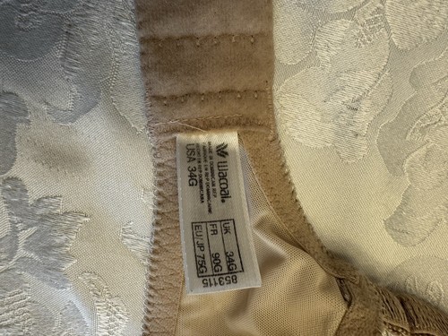 Wacoal Bra Size 34G Reveal Contour Underwire Bra 853115 Beige Lace - Picture 6 of 9