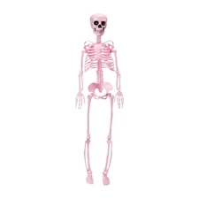 🔥3 Foot Hanging Halloween Pink Skeleton Cute & Creepy BNWT🔥