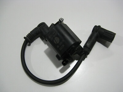 Zündspule Ducati Monster 696 ABS, M5, 10-14