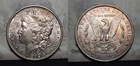 1902-P Morgan Silver Dollar $1 Toning