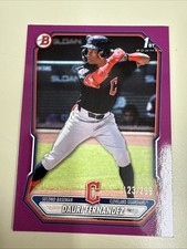 Dauri Fernandez 1st Bowman Fuchsia Border /299