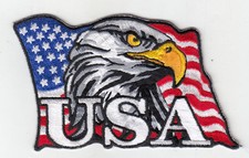 Eagle USA in USA Flag Embroidered Patches 3"x4"