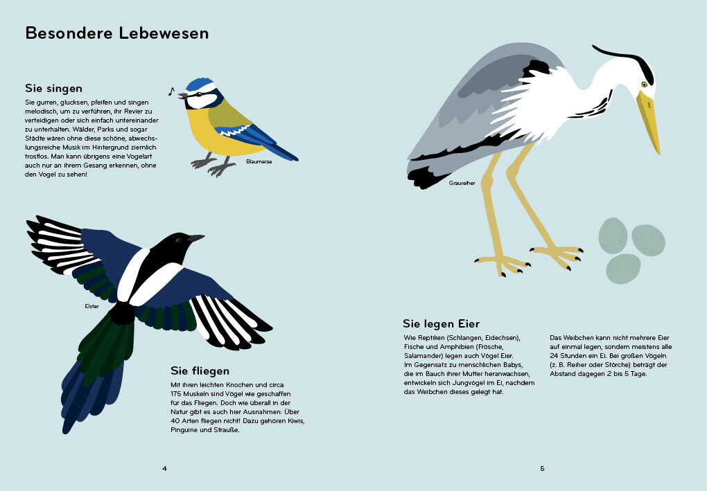 Thumbnail - Ornithorama | Lisa Voisard | 2020 | Deutsch