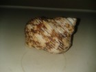 Foto 3 di 7