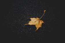 Landscape leaves water drops nature yellow closeup fall Custom Gaming Mat Desk
