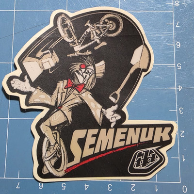 Troy Lee Designs Brandon Semenuk 7.5cm x 7.5cm Matte Finish