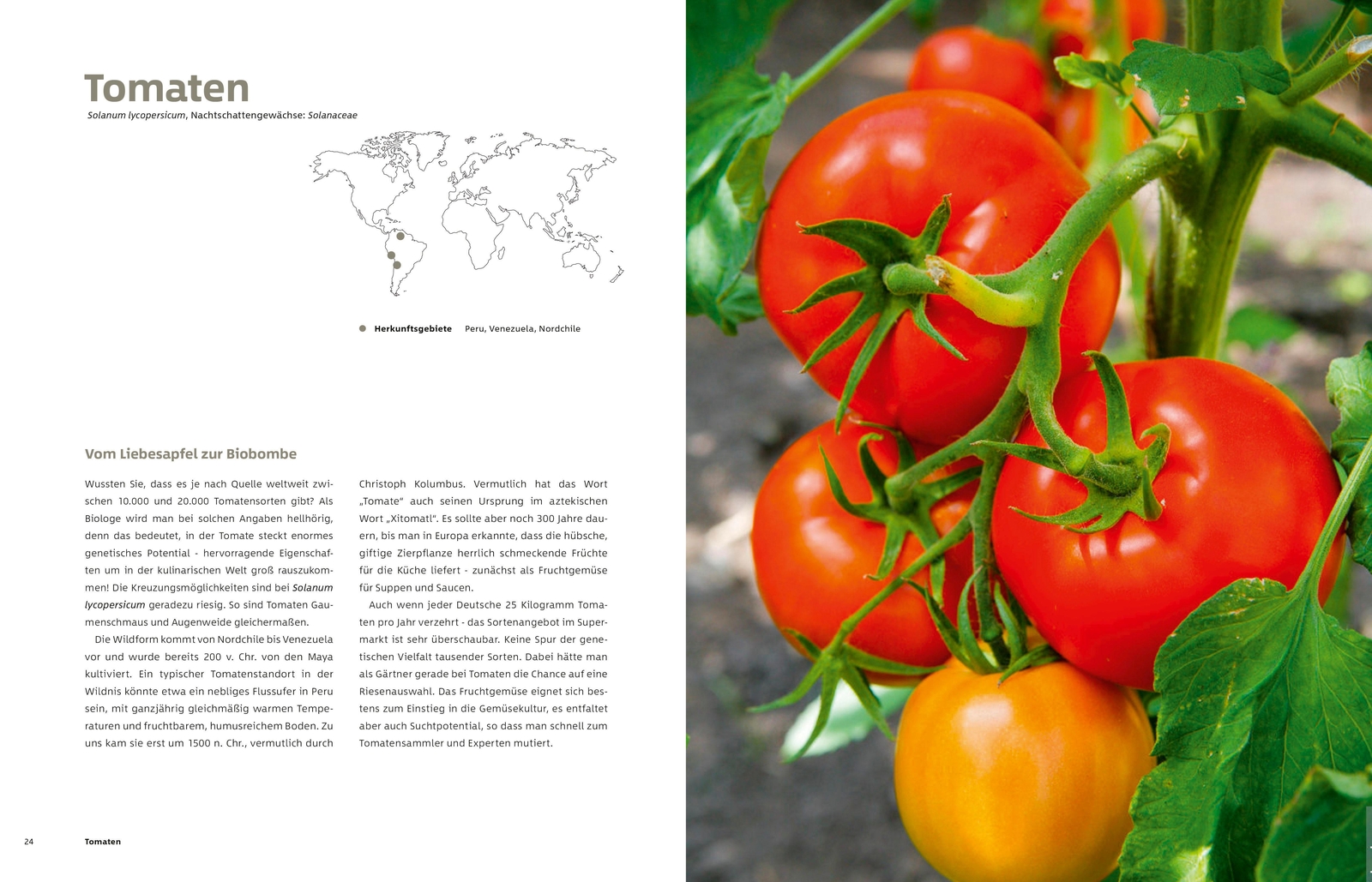 Thumbnail - Gemüse Und Kräuter Garten | Markus Phlippen | Buch | 432 S. | Deutsch