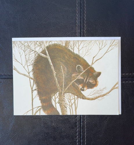 Vintage Current Greeting Cards Lot Of 8 w/Envelopes American Wildlife Possum Fox - Picture 9 of 11