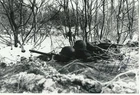 SGT CARL R BRITT Signed Photo WWII AUTO COA WORLD WAR 2 BATTLE OF THE BULGE