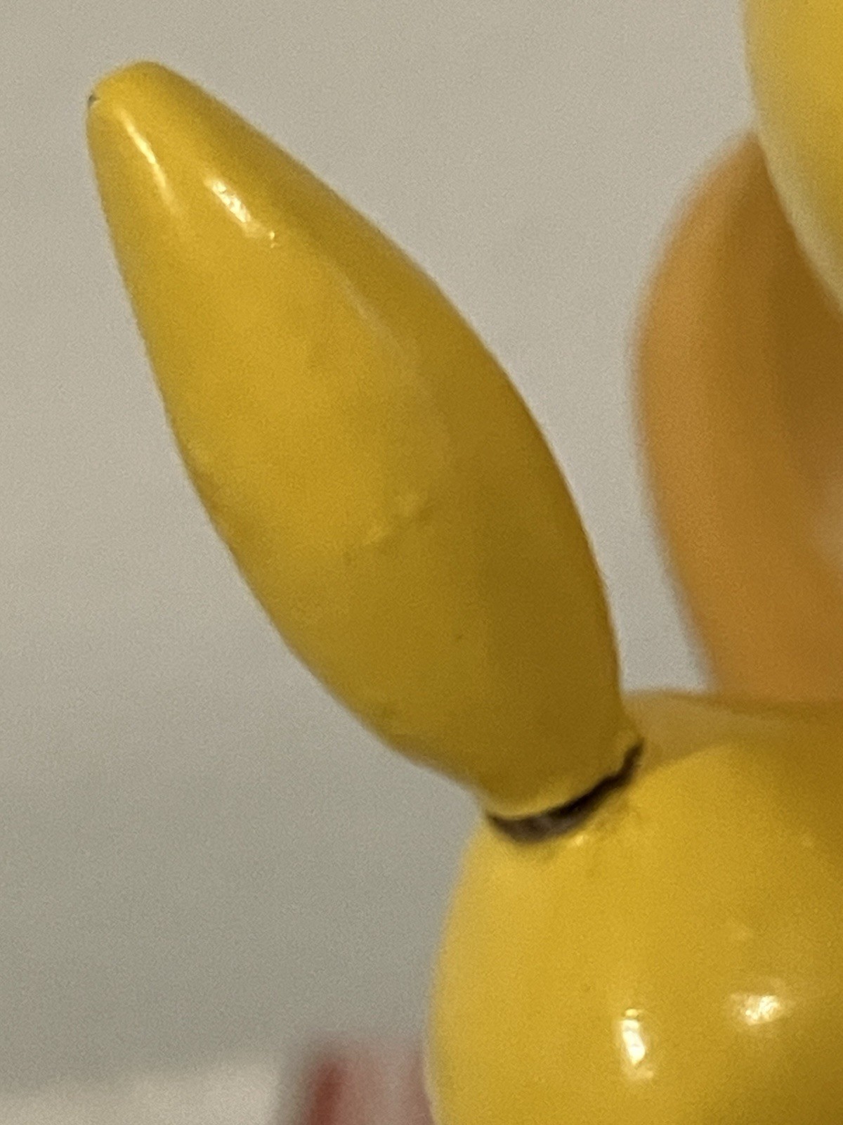 Picture 9 of 21