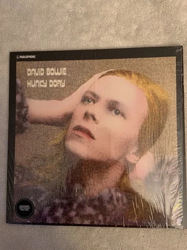 David Bowie vinyl lot rock 8 Lp excellent Live at the tower, Hunky dory +6 Lp