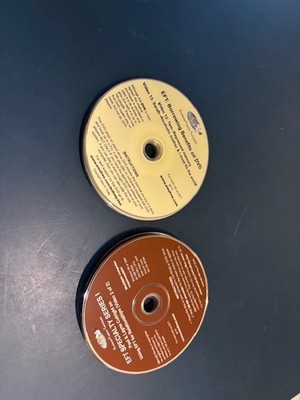 EFT Emotional Freedom Techniques DVD Sets