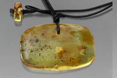 WINGED ANT & DAGGER FLY Genuine BALTIC AMBER Leather String Pendant 24.9g 1015-8