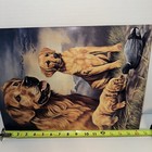 Bild 5 von 5