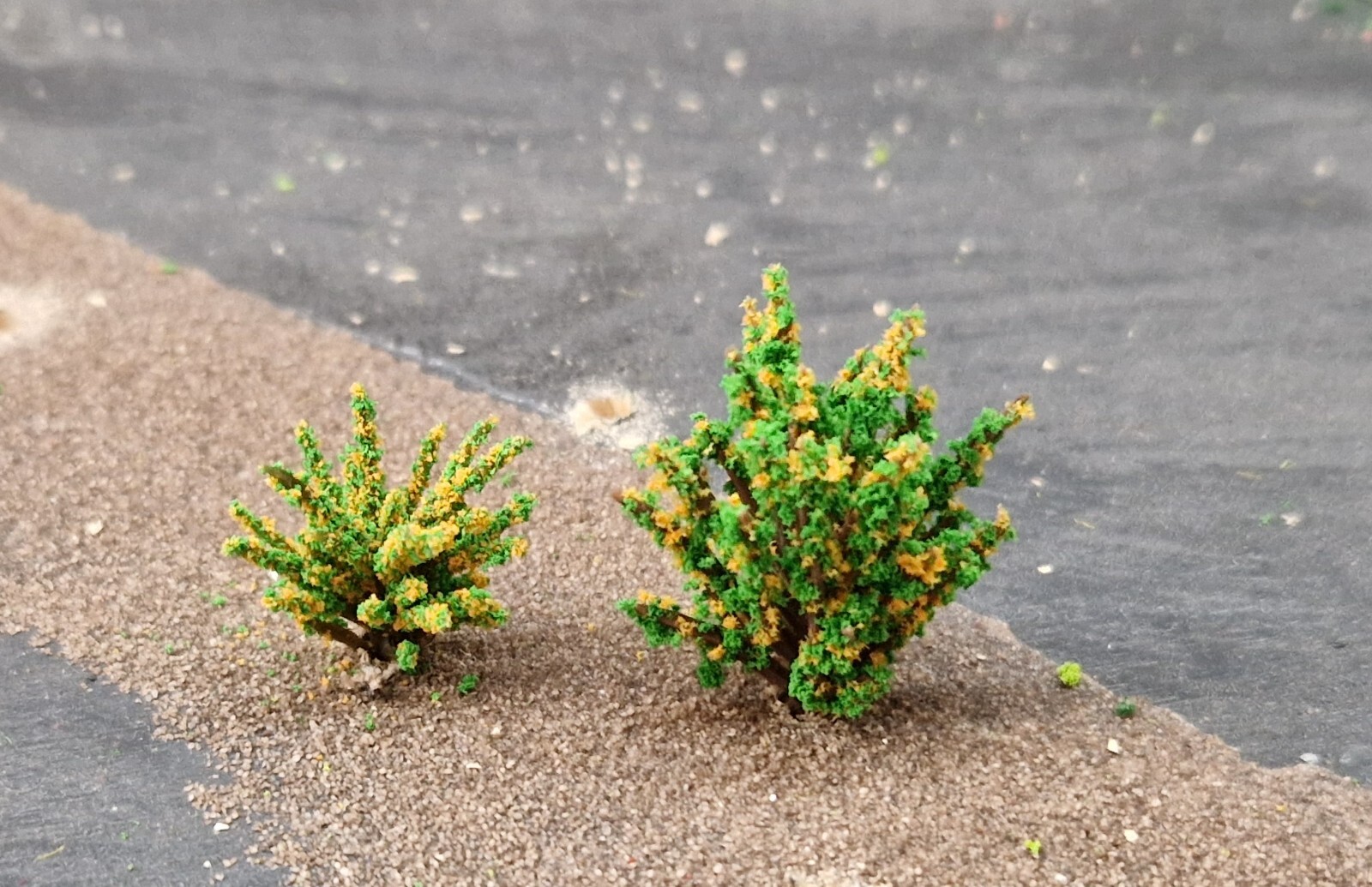 20 Yellow Blooming Bushes, Shrubs, 28 and 40 mm High, for Landscape Construction