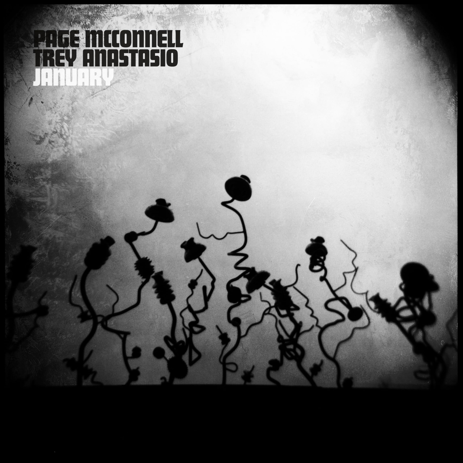 Page McConnell & Trey Anastasio January (Vinyl)