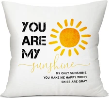 You Are My Sunshine Throw Pillow Cover 18X18, Inspirational Gifts for Women Moti