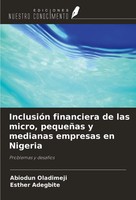 InclusióN Financiera De Las Micro, PequeñAs Y Medianas Empresas En Nigeria Buch