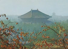 Daibutsuden Hall Autumn Nara Japan Great Buddha Temple Vintage Chrome Post Card