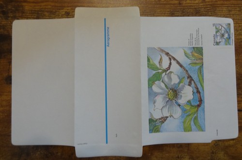FLOWER OF BRITISH COLUMBIA PACIFIC DOGWOOD 15c CANADIAN AEROGRAM - UNUSED - Picture 3 of 4