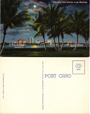 Palm Beaches in the Moonlight Postcard