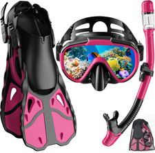 Snorkel Set with Fins, Adult Dry Top Snorkel Mask Combo, Travel Bag for Snorkeli