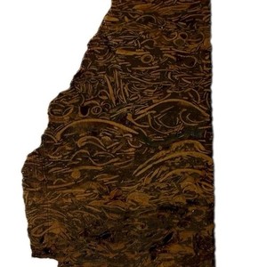 COBRA AKA SCRIPT STONE JASPER SLAB ~ 66 grams / rough agate cab mineral rock