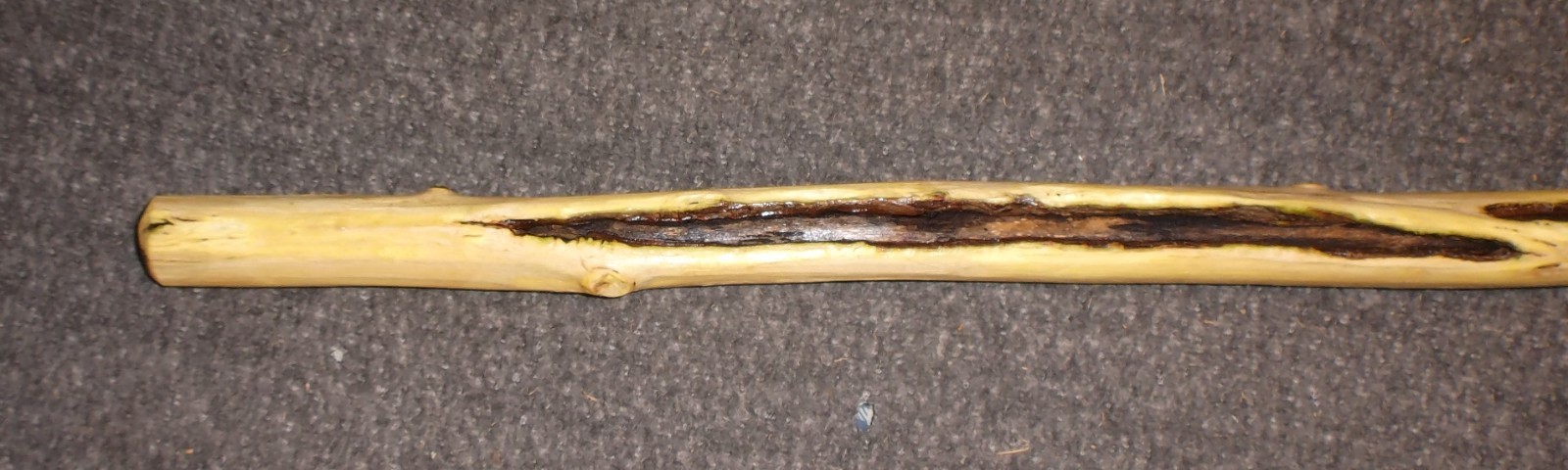 Tennessee Walking Stick- Wood Hiking Stick Staff Hike Pole Hand Carved Cane #95