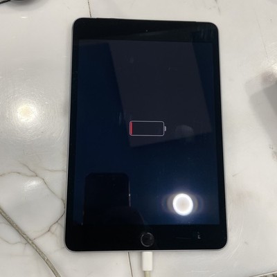iPad Mini 4 Wi-Fi Cellular 32GB  Space Gray, voll funktionsfähig