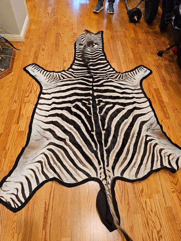 real African zebra skin rug