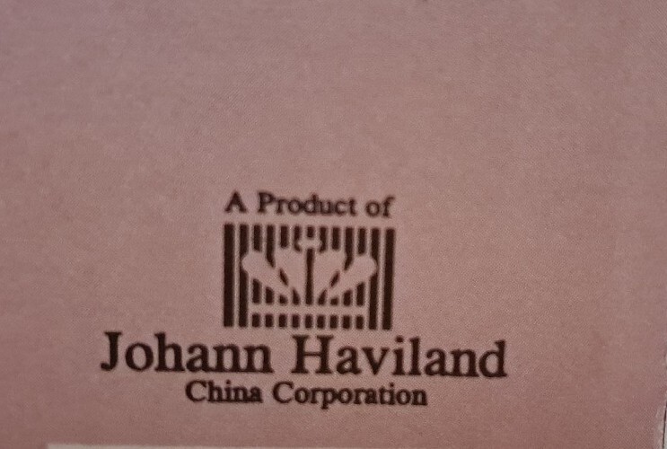 Johann Haviland Traditions Fine Porcelain China Moss Rose 5pc. Place Set New 