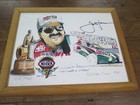 Foto 12 di 12