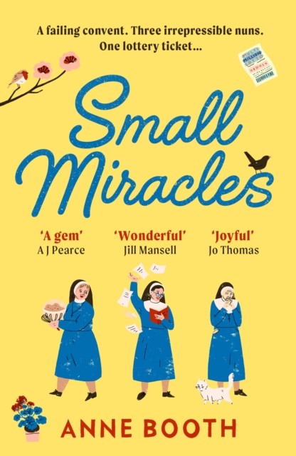 Small Miracles by Anne Booth (Paperback Book)
