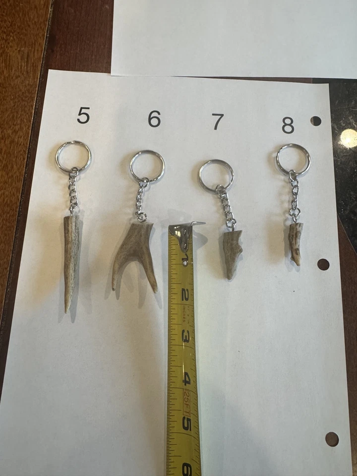 Llavero 8 cuernos de ciervo cola blanca Foto 2 de 2